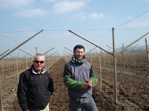 Виноградная система Чили EG обеспечивает высокую урожайность